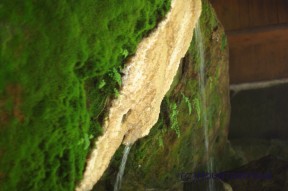 唐沢鉱泉　冷泉打たせ湯
