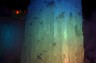 IMGP0407_96