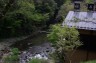 IMGP1673_96