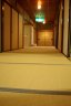 IMGP0696_96